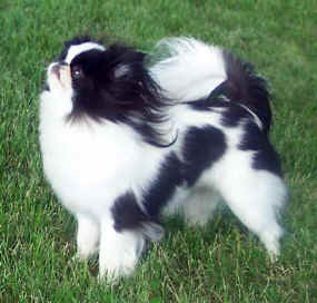 milly 0067.jpg (24514 bytes)